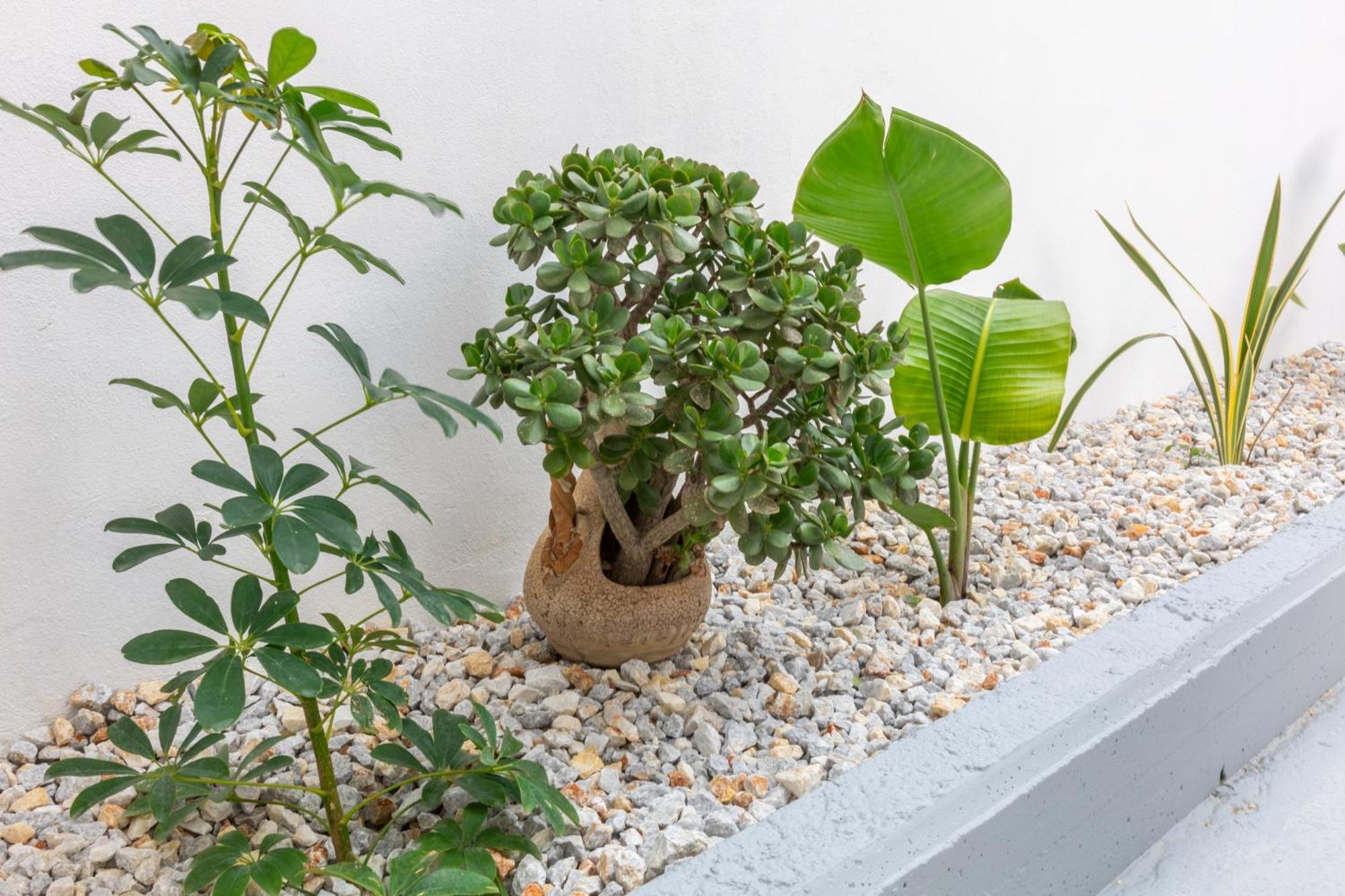 Garden Luxury Apartment Iraklion Buitenkant foto