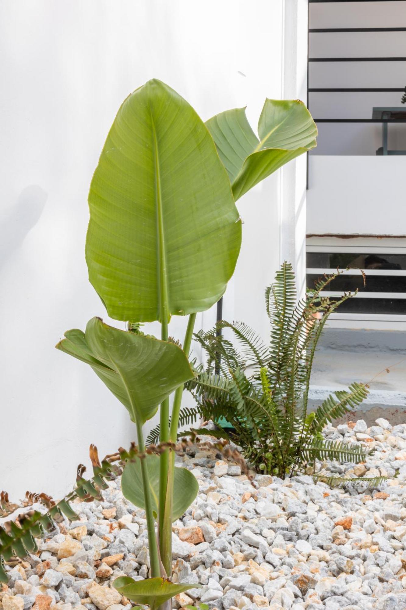 Garden Luxury Apartment Iraklion Buitenkant foto